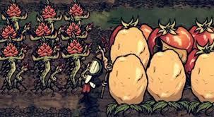 饥荒春季怎么玩