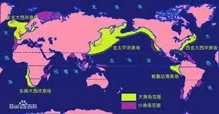 海洋中哪种区域被称为海洋沙漠