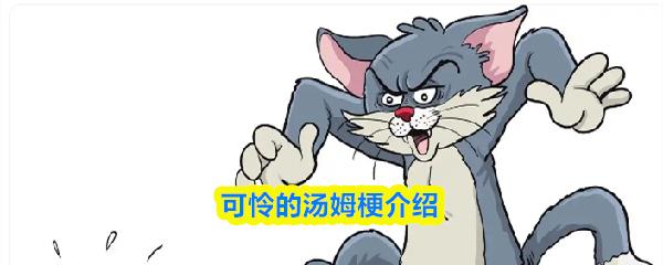 可怜的汤姆梗介绍