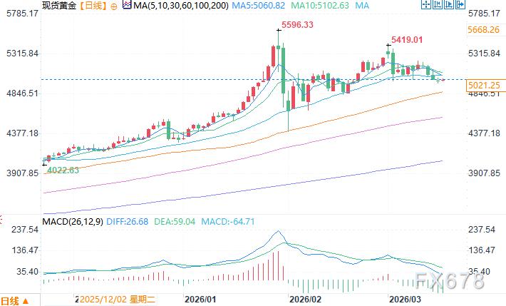 中东战事推升美元避险需求黄金承压，专家称金价与美元传统相关性已破裂