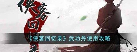 侠客回忆录 武功丹推荐使用攻略