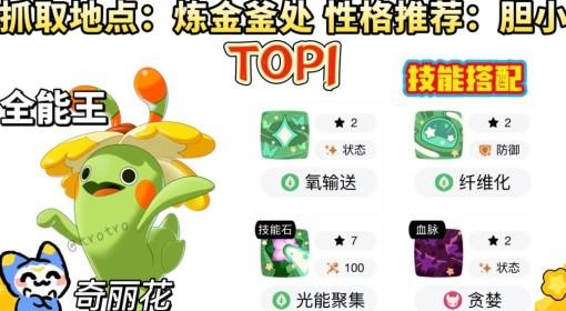 洛克王国：世界 首日必抓神宠与配招推荐