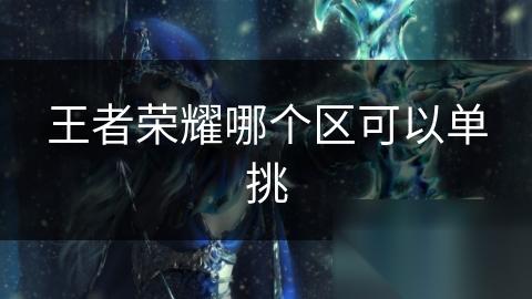 王者荣耀哪个区可以单挑