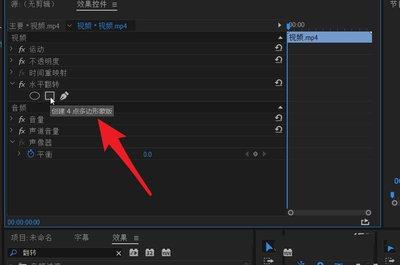 pr2020视频怎样进行镜像翻转