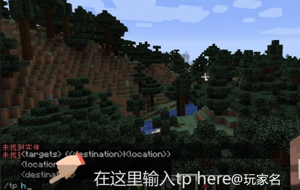 我的世界传送到队友旁边的代码是什么