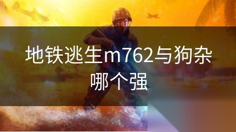 地铁逃生m762与狗杂哪个强