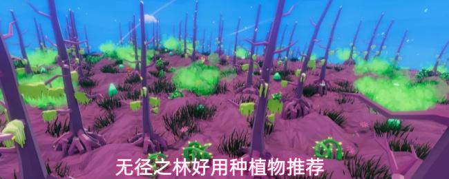 无径之林好用种植物推荐