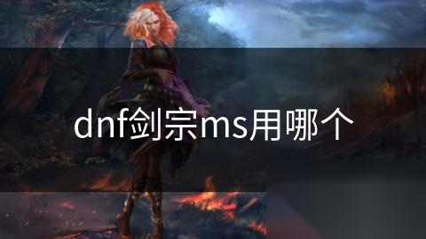dnf剑宗ms用哪个