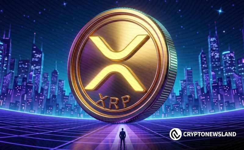 XRP网络测试声明引发市场关注