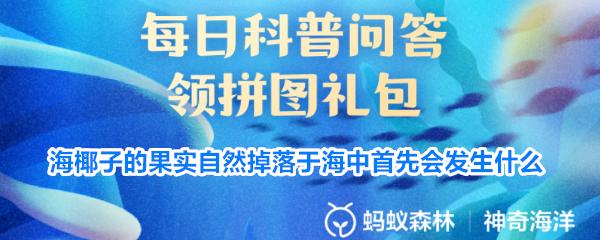 海椰子的果实自然掉落于海中首先会发生什么