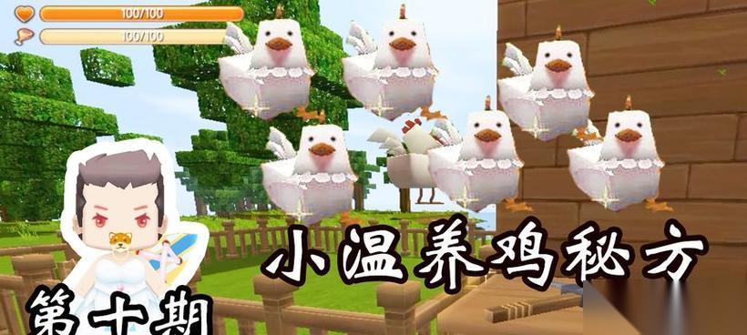 迷你世界养鸡攻略 迷你世界鸡的养殖技巧详解