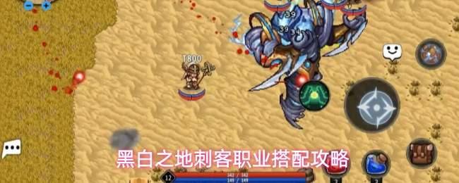 黑白之地刺客职业玩法刺客职业搭配攻略